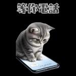 灰色虎斑小奶貓大字大貼圖