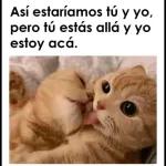 Love you