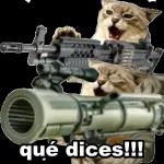 fingir que te creo