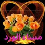 من الذي فاتك؟