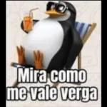 brincos