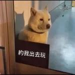 Qué se sentirá ser feo?