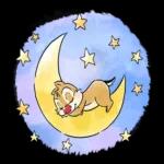 sampai bakanya sekali piaa