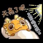 新年快樂 ! 可愛的龍