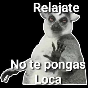 Relajate No te pongas Loca  - getsticker.com