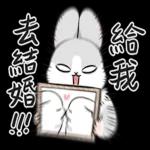 ㄇㄚˊ幾兔－追星篇