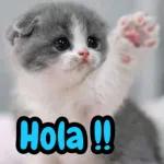 enamorados