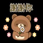 小狸貓與小狐狸