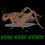 KRIK KRIK KRIKK
