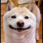 Qué se sentirá ser feo?