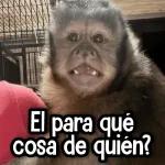 changos
