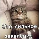 ыпа
