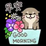 早安，今天又是美好的一天