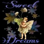 Riekie
Nite Nite
Sweet Dreams