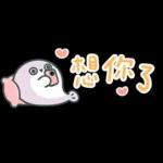 薩卡班甲魚 省空間★好愛老公! (老婆版)