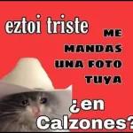 Un Abrazo asi de Grandote