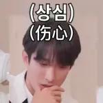 seventeen表情管理2 :: @fStikBot