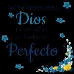 @lexa Dios te Bendiga