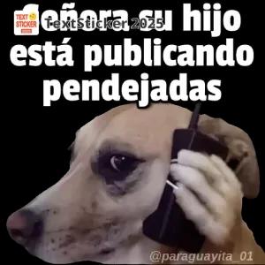 Señora su hijo está publicando pendejadas - getsticker.com