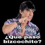 QUE PASO MI SHULA