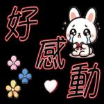 就是可愛的小兔子