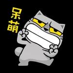 0107-TW-灰猫