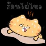 มอร์นิ่งจ้า☀️☀️☀️