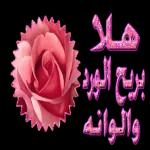 ا
بريح الورد
والوانه