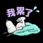 【中文】Snoopy♡立體貼圖