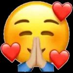 My love 🌹🌹🌸🌸🌷🌷