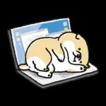 SHIBANBAN微笑柴犬-寶寶逃避現實