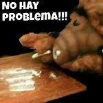 tá cheirando cocaína e