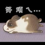 邦妮蓓蓓的日常生活