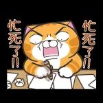 白爛貓58☆名人堂☆