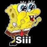 Perdón, soy tímida