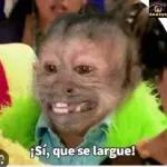 hasta la vista infieles