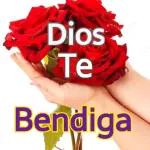 Muy buenos días 