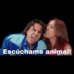 Te extrano y ya quiero verte @rose.stickers1 091BU