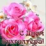 с днем бухгалте