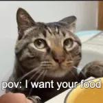 pov: I want your food