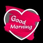 good morning