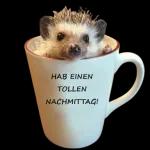 Nachmittag