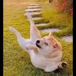 Qué se sentirá ser feo?