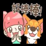 柯基犬椪椪懂吃懂吃！