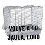 Argento