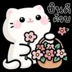 โอเคค่า
OK