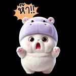 แมวฮิปโปสุดน่ารัก : คุยกันทุกวัน(BIG)