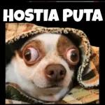 Meme