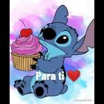 stich