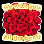 Beautiful flower